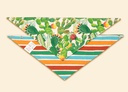Bandana algodón