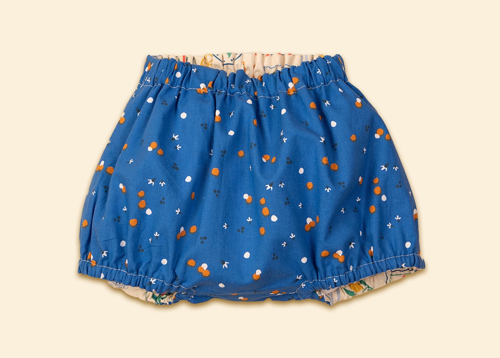 Ranita azul