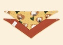 Bandana neutro