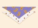 Bandana babas bebé