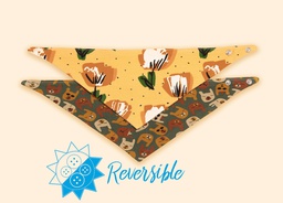 Bandanas Ambar - Momo