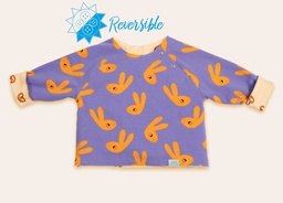 Jersey Pipa